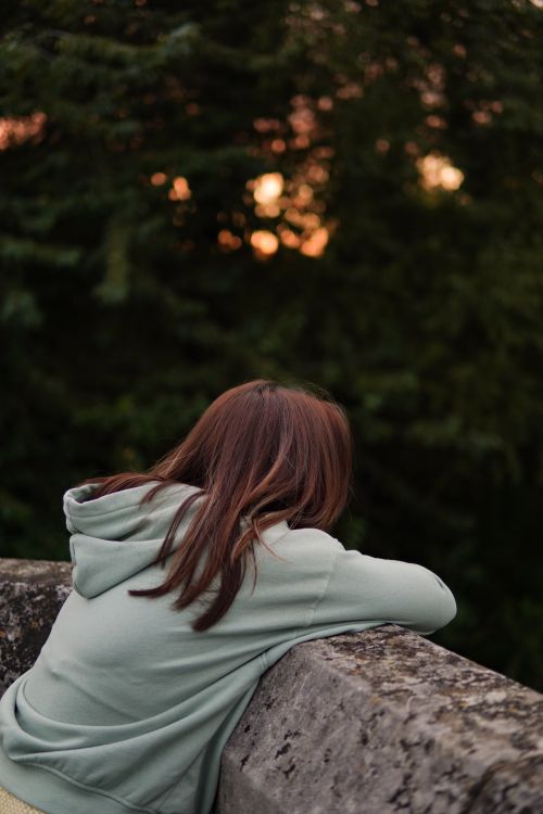files/pexels-photo-29002957.jpg